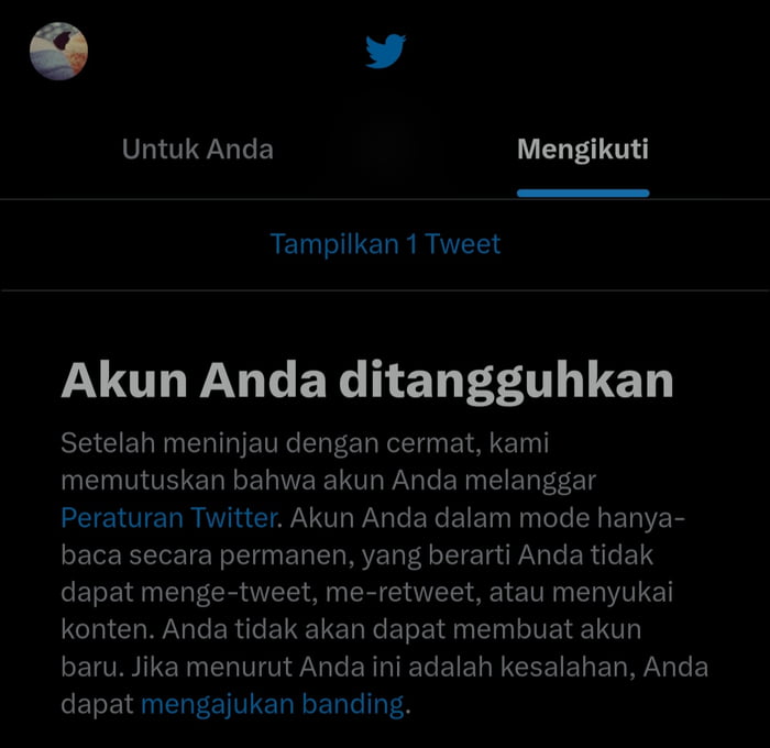 Buka IG, Katanya TW Ada Batasan Untuk Buka 1.000 Tweet Per Hari ...