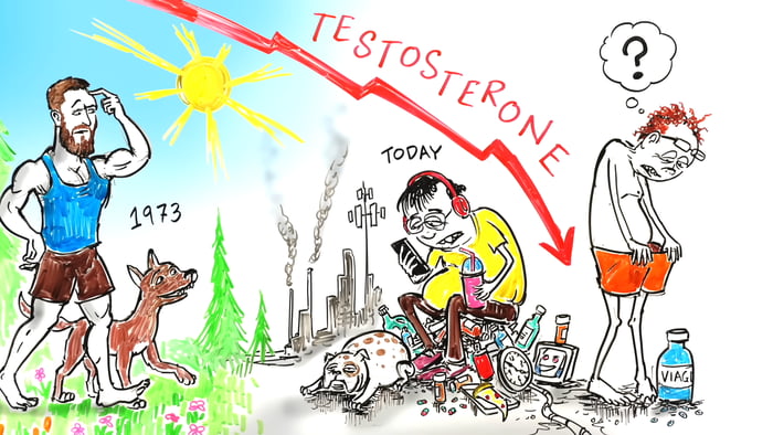 Endocrine Disruptors - Common Chemicals That Severely Alter Your ...