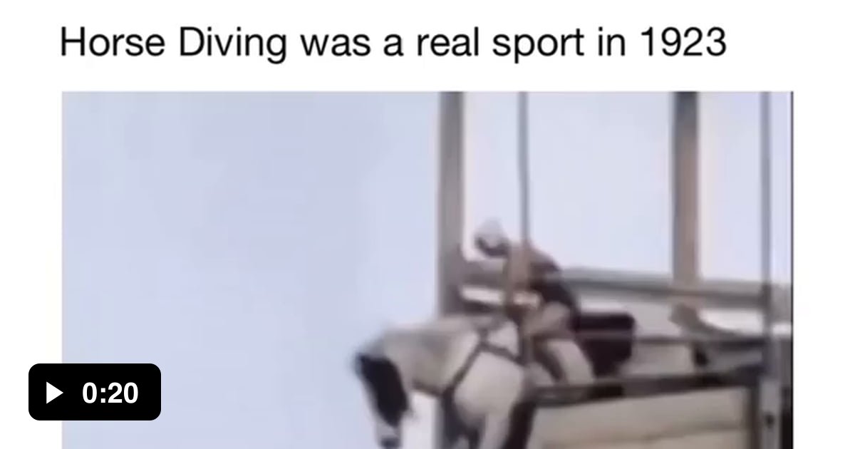 Horse diving, anyone? 9GAG
