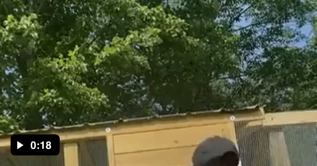 The surprising invisibility effect of painting chicken wire black 9GAG