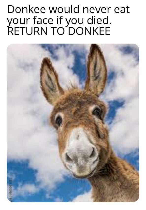 Donkee - 9GAG