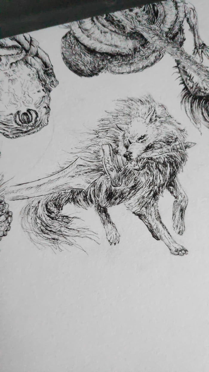 Red wolf of Radagon - 9GAG