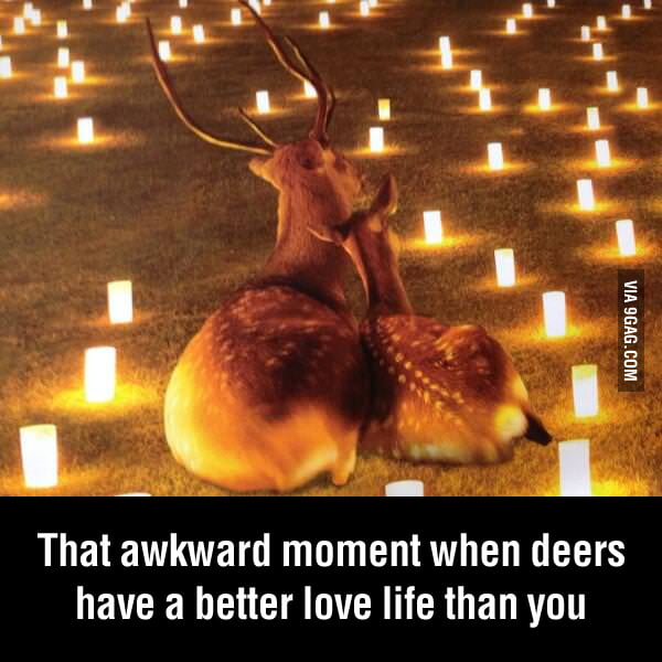 I love you deer 9GAG