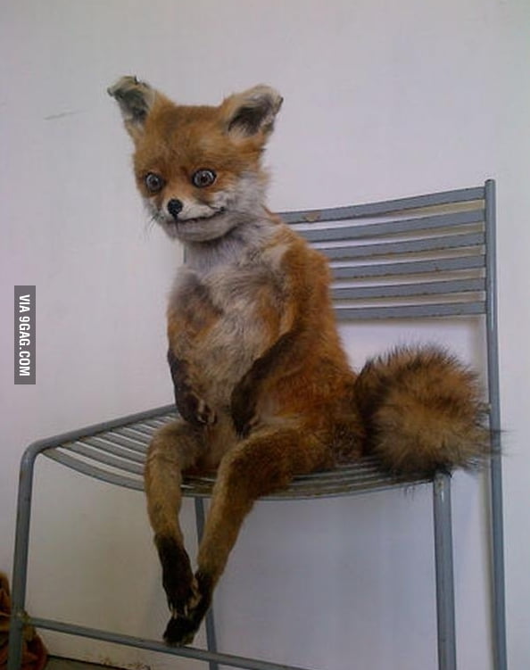 When You Go Out To Eat With Your Friends And Don t Have Any Money 9GAG