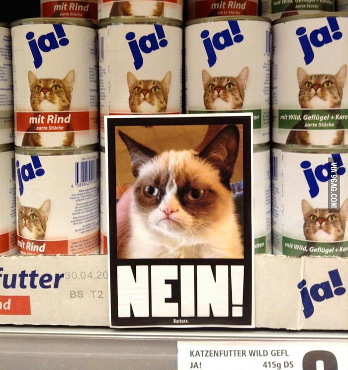 German catfood 9GAG