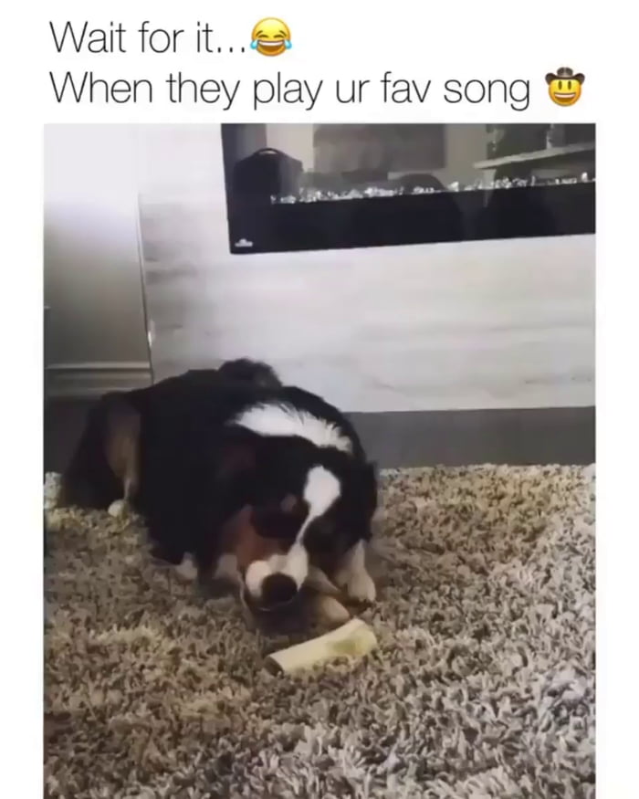 His favorite song - 9GAG