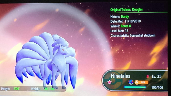 Possibly The First Ever Shiny Ninetails Ever Seen In Pokemon Let S Go Raised From A Lvl 13 Vulpix 9gag
