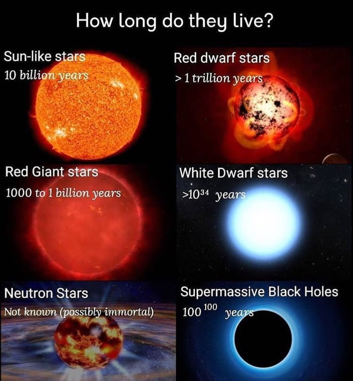 How long do they live? - 9GAG