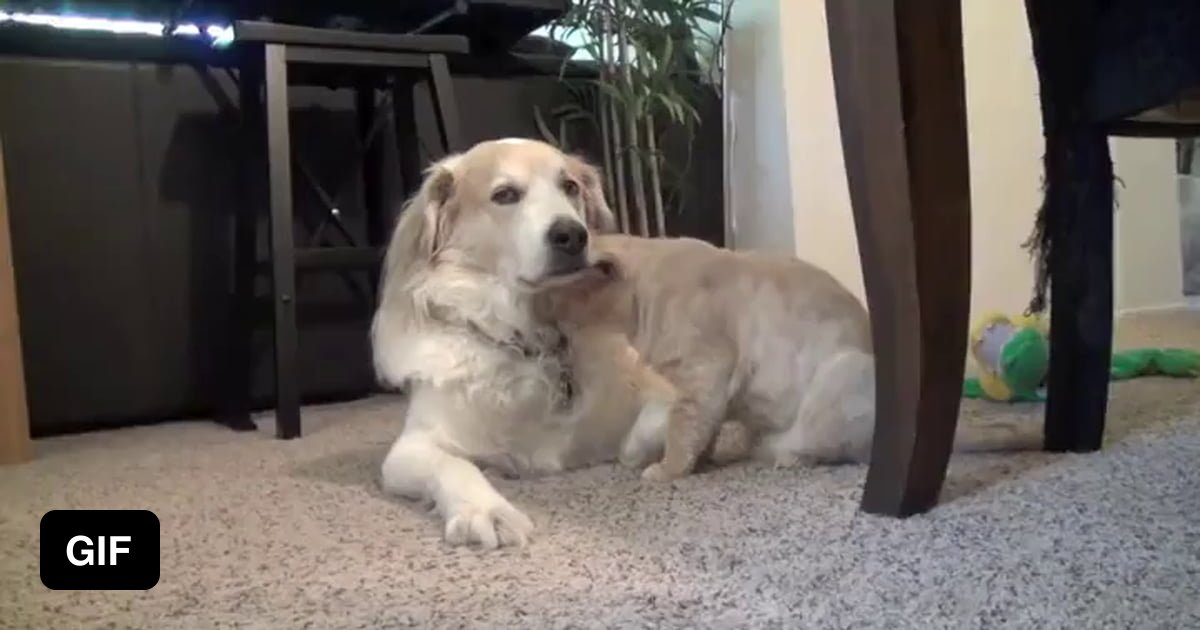 домашняя интимная жизнь. заниматься любовью. мужчина и женщина в постели. видео пора домашняя. кэмерон диаз.