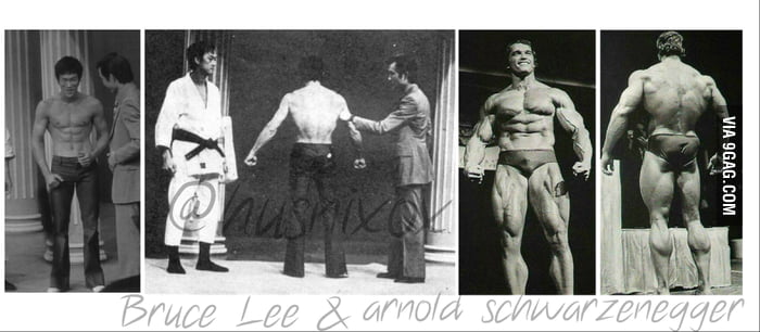 arnold schwarzenegger bruce lee