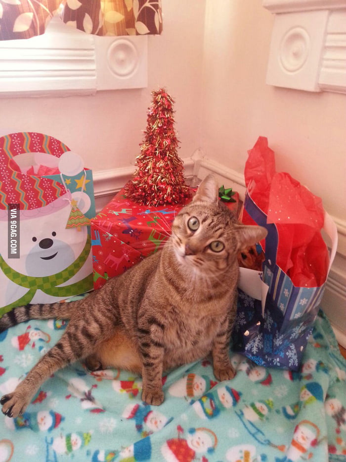 Merry Christmas! 9GAG
