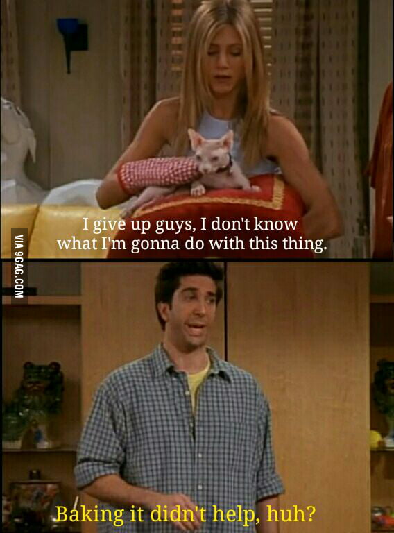 Friends Mrs Whiskerson - 9GAG