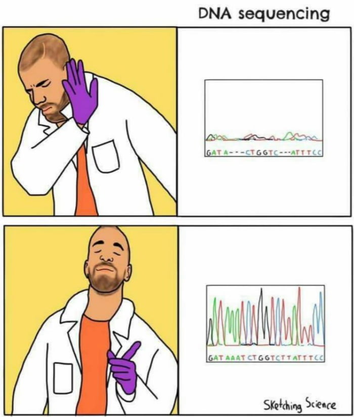 Studying molecular biology when a wild meme appears ! - 9GAG