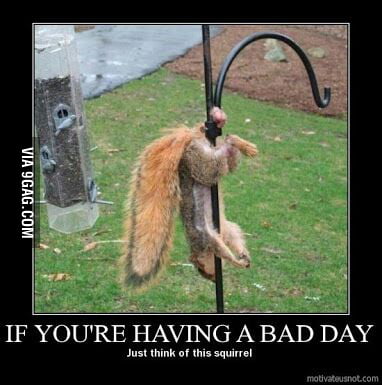 Bad day?just remember this squirrel. - 9GAG