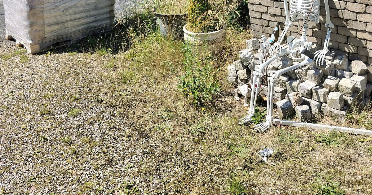 My wife is in full prepper mode. Just ordered a full pallet of Kitty