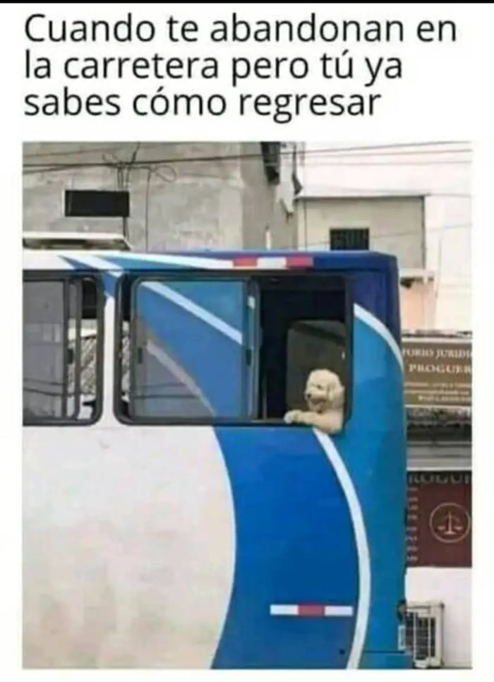 Ese Firu es una riata - 9GAG