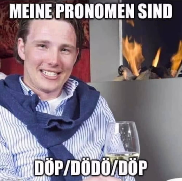 Die einzig wahren pronomen 9gag