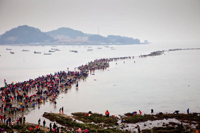In South Korea, a special tidal phenomenon causes the sea to open twice ...
