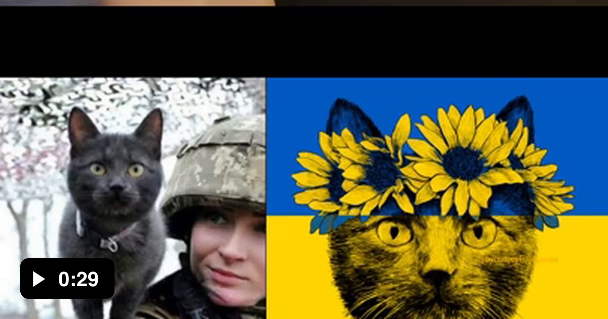 The fierce Ukrainian kitty inspired me to create this piece, Cat of