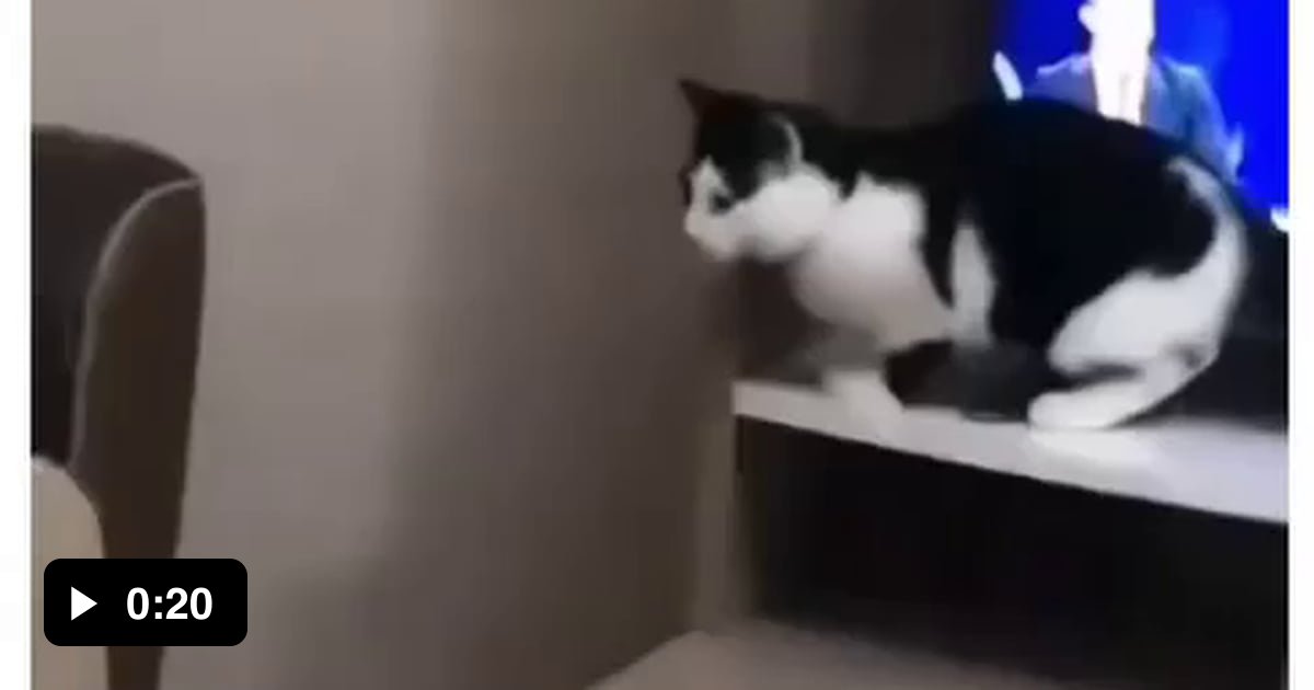 That slap tho - 9GAG