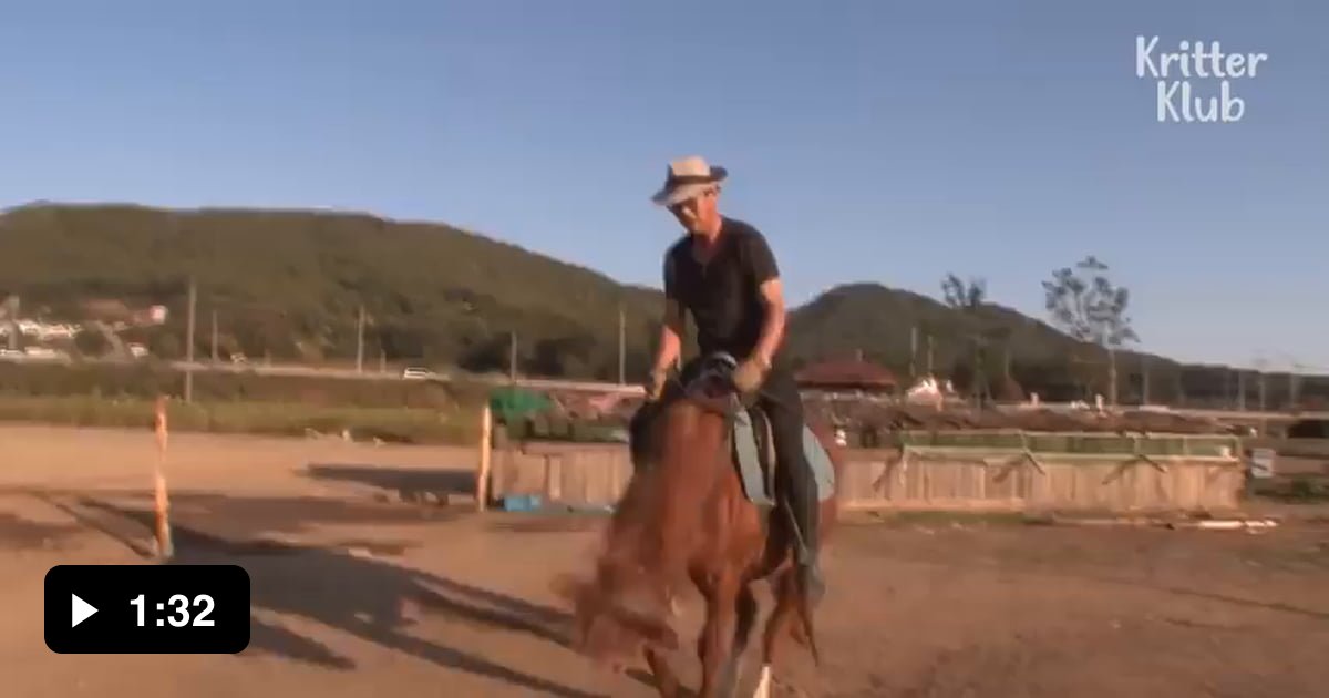 Horse playing dead whenever someone tries to ride it 9GAG