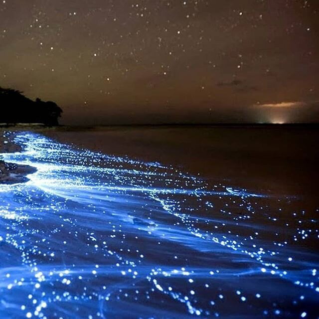 Bioluminescent phytoplankton in Chabahar, Iran - 9GAG