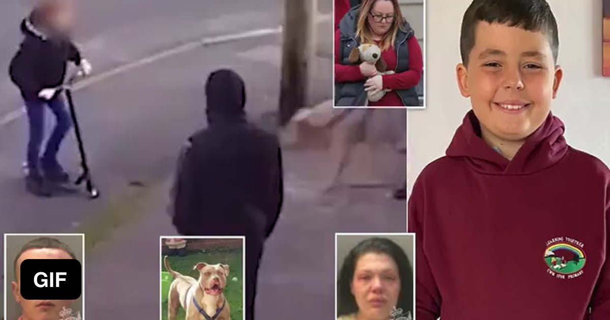 The near7st Bully XL dog called Beast mauled 10yearold schoolboy