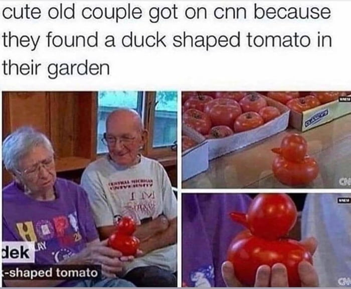 Duck-shaped tomato - 9GAG