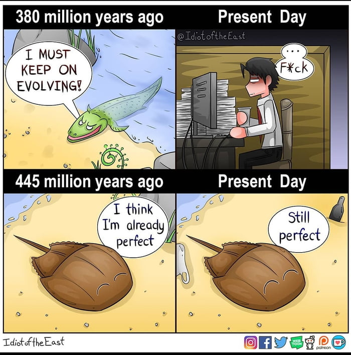 Evolution all the way :) - 9GAG