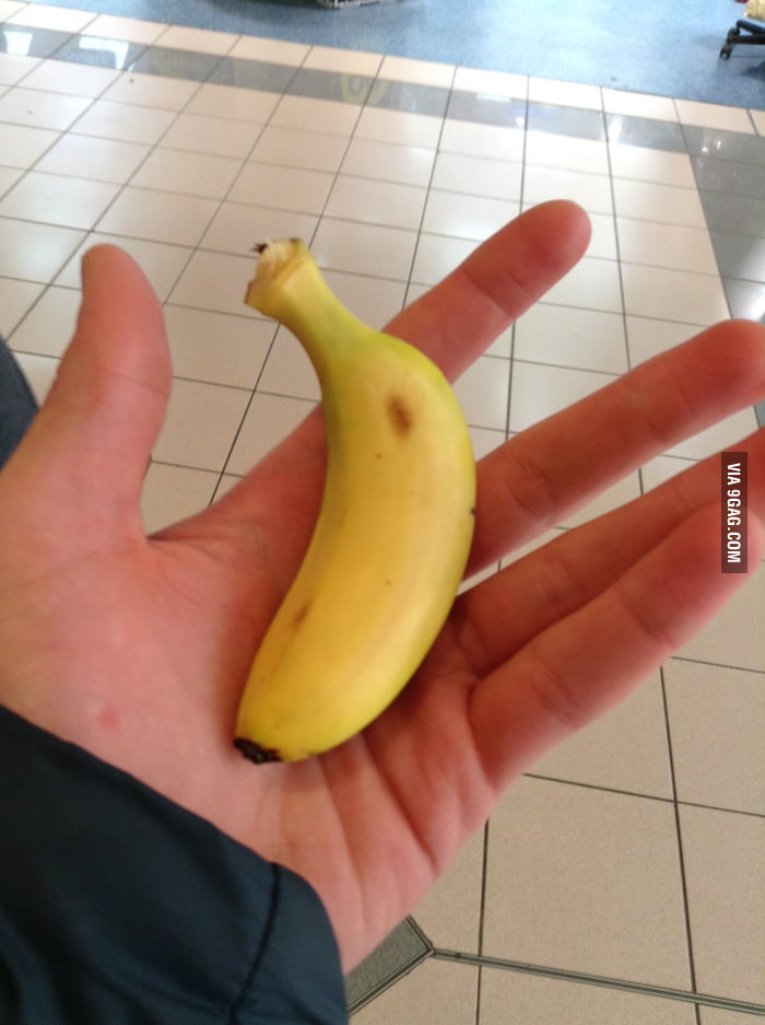 Tiny hammer, with tiny banana for scale - 9GAG