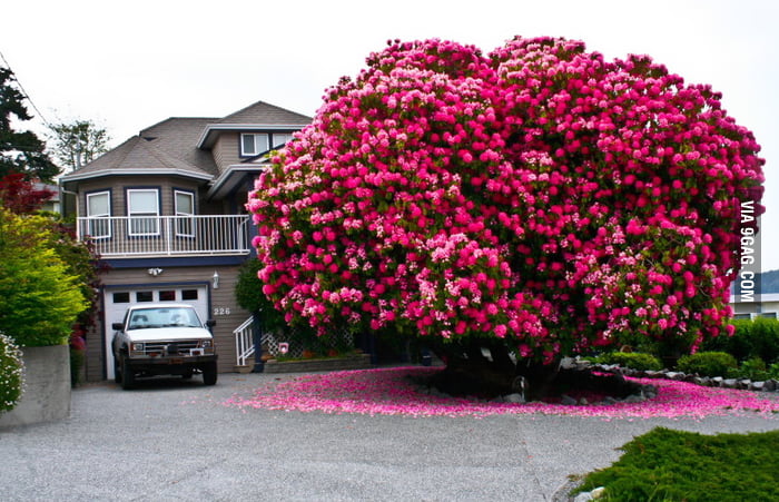 Since spring is just around the corner, here's the world's biggest ...