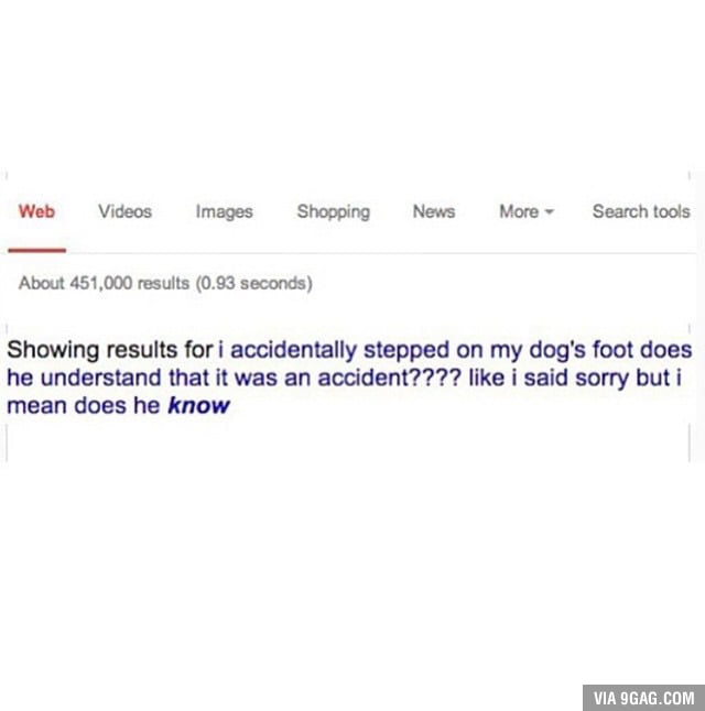 Does dog know - 9GAG