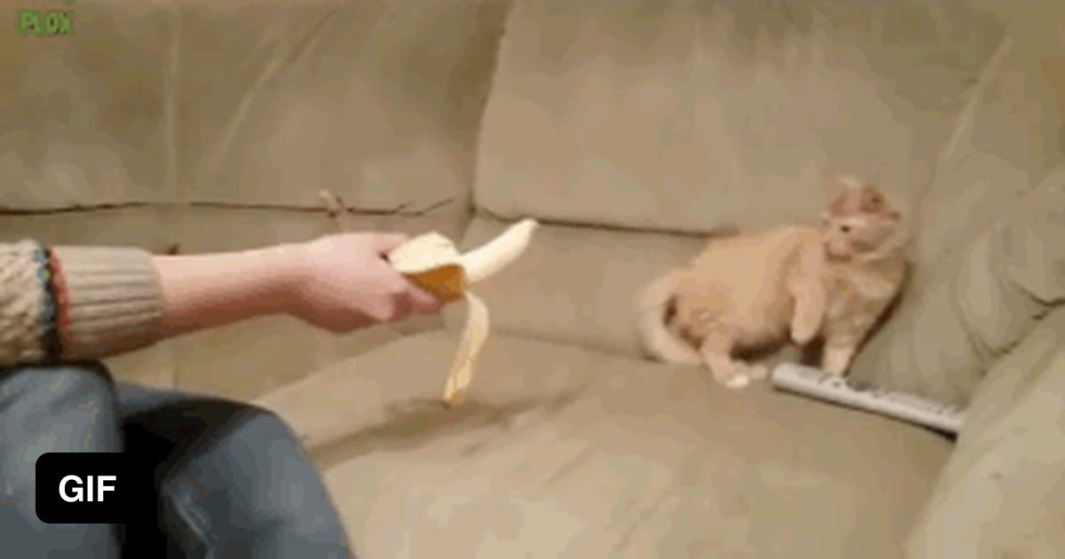 миниатюрные гифки