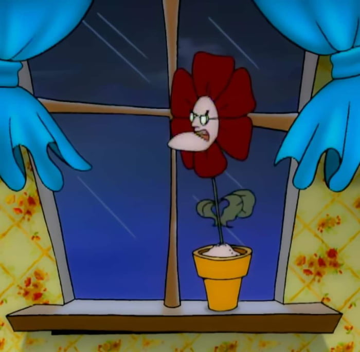 "You are beautiful like a flower" The flower 9GAG