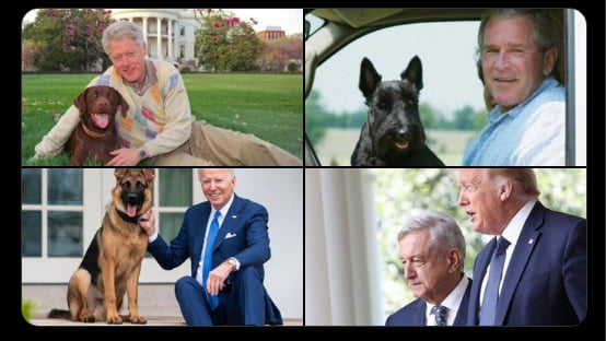 Presidentes de USA y sus mascotas. - 9GAG