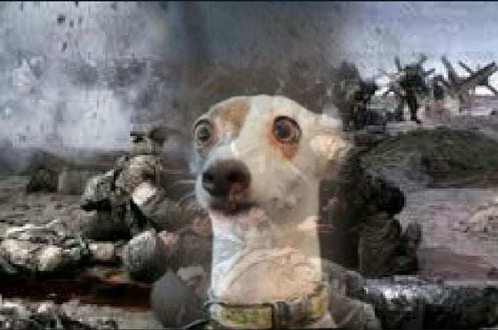 When Vietnam War Flashback Hits You Real Hard 9GAG
