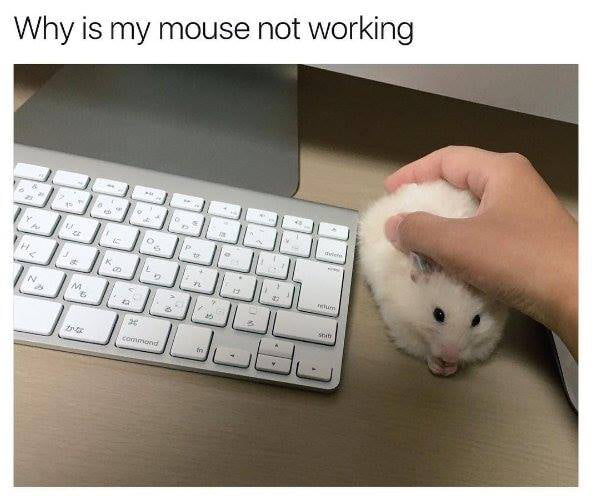 why-is-my-mouse-not-working-9gag