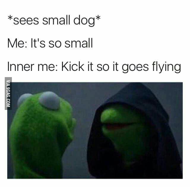 Kermit - 9GAG