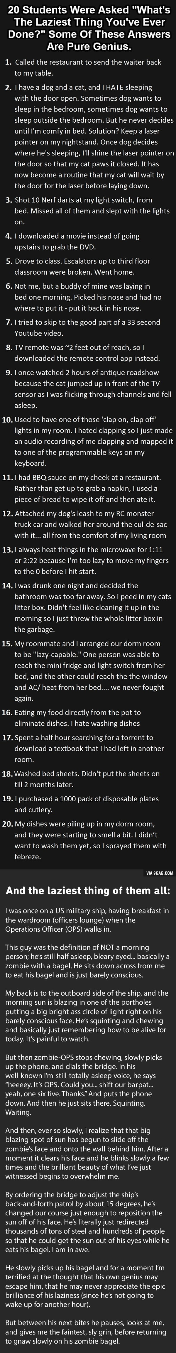 Kings of laziness
