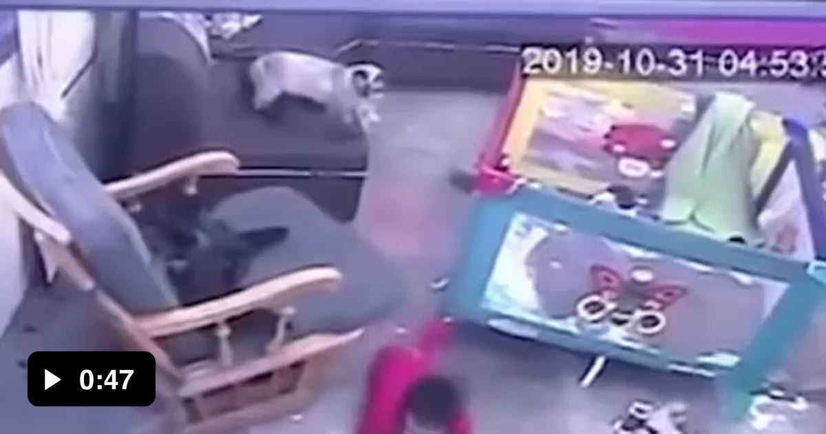 Cat saves baby from falling towards tall staircase 9GAG