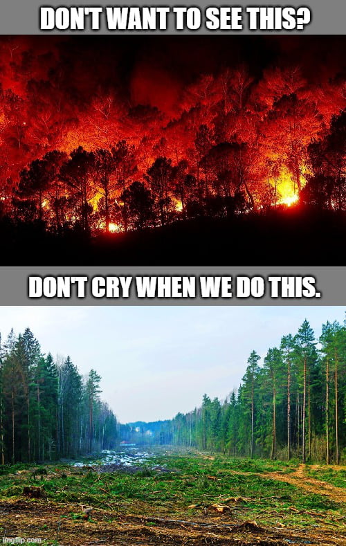 Just a Forestester opinion - 9GAG