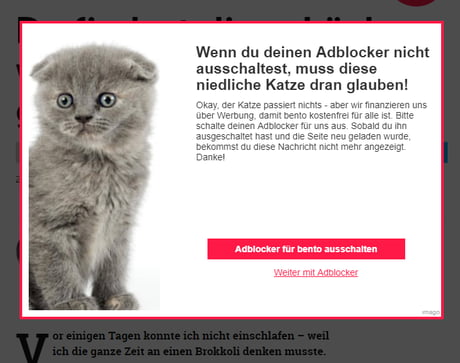 Disable Your Adblock Or This Sweet Little Cat Is Going To