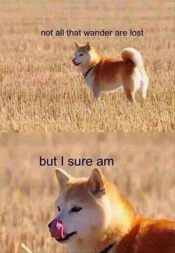 hmmm mlem 9gag