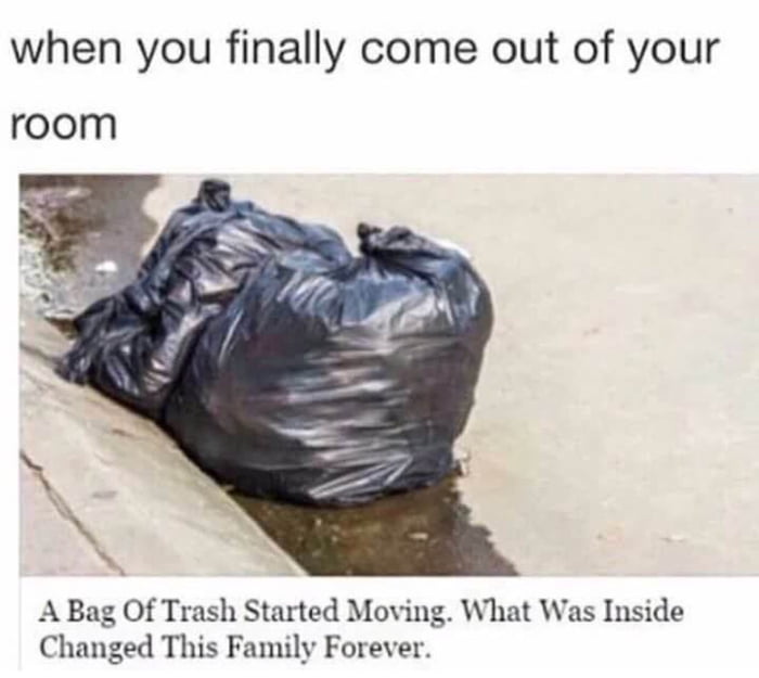 Happens every other year 9gag