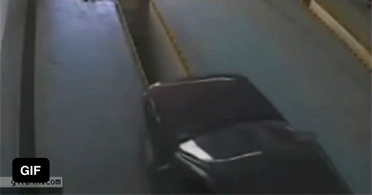 My ribs hurt from laughing 9GAG