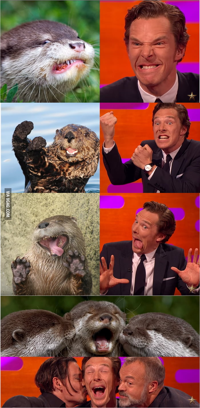 Benedict Cumberbatch was sweet enough to do some otter poses on Graham ...