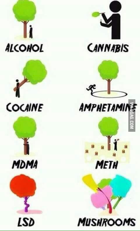 Don t Do Drugs Mkay 9GAG