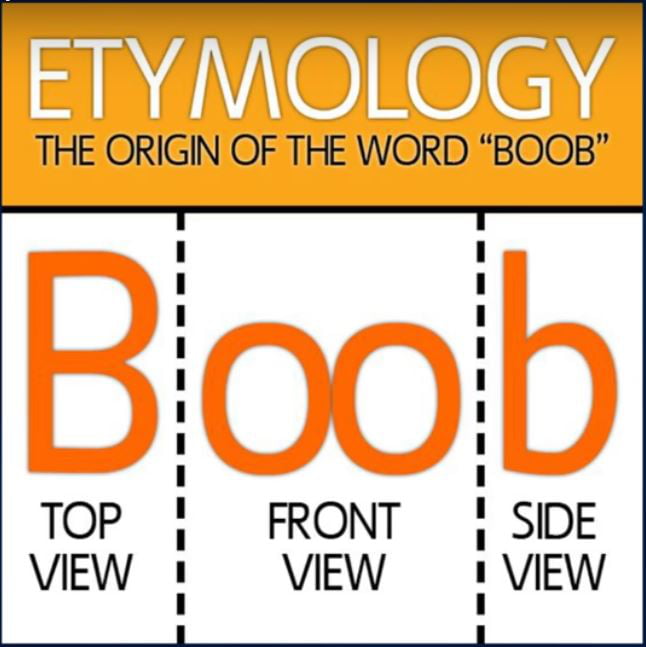 Etymology - The origin of the word Boob - 9GAG