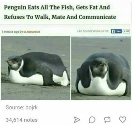 Who read this - 9GAG