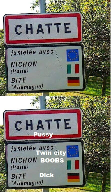 site de chatte